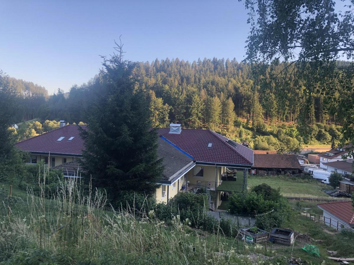 Ferienhaus Lacher Baiersbronn Exterior photo